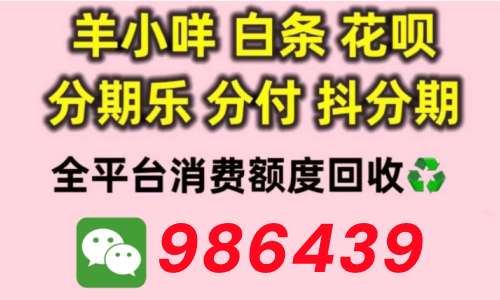 2026的羊小咩便荔卡包购物额度怎么提现比较靠谱呢？（羊小咩提现秒到靠谱商家为您分享）