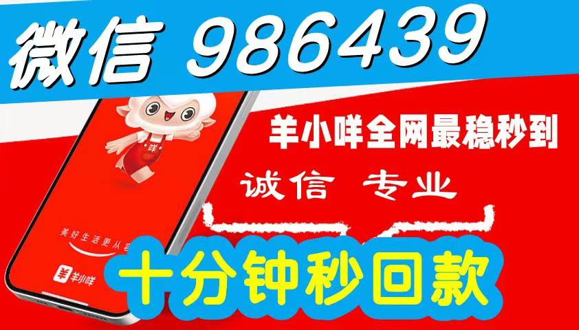 2026 羊小咩便荔卡包购物额度如何套出来秒到呀（带大家详解便荔卡包套现的6个秒到安全步骤）